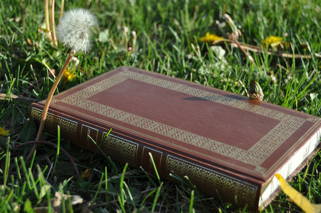 How Philosophy Contributes to Mental Health